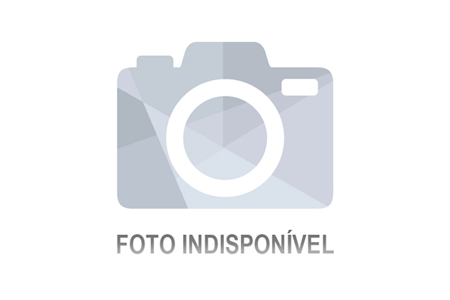 Lote 1 Lote 1